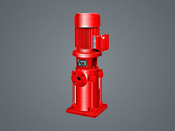 Vertical fire pump