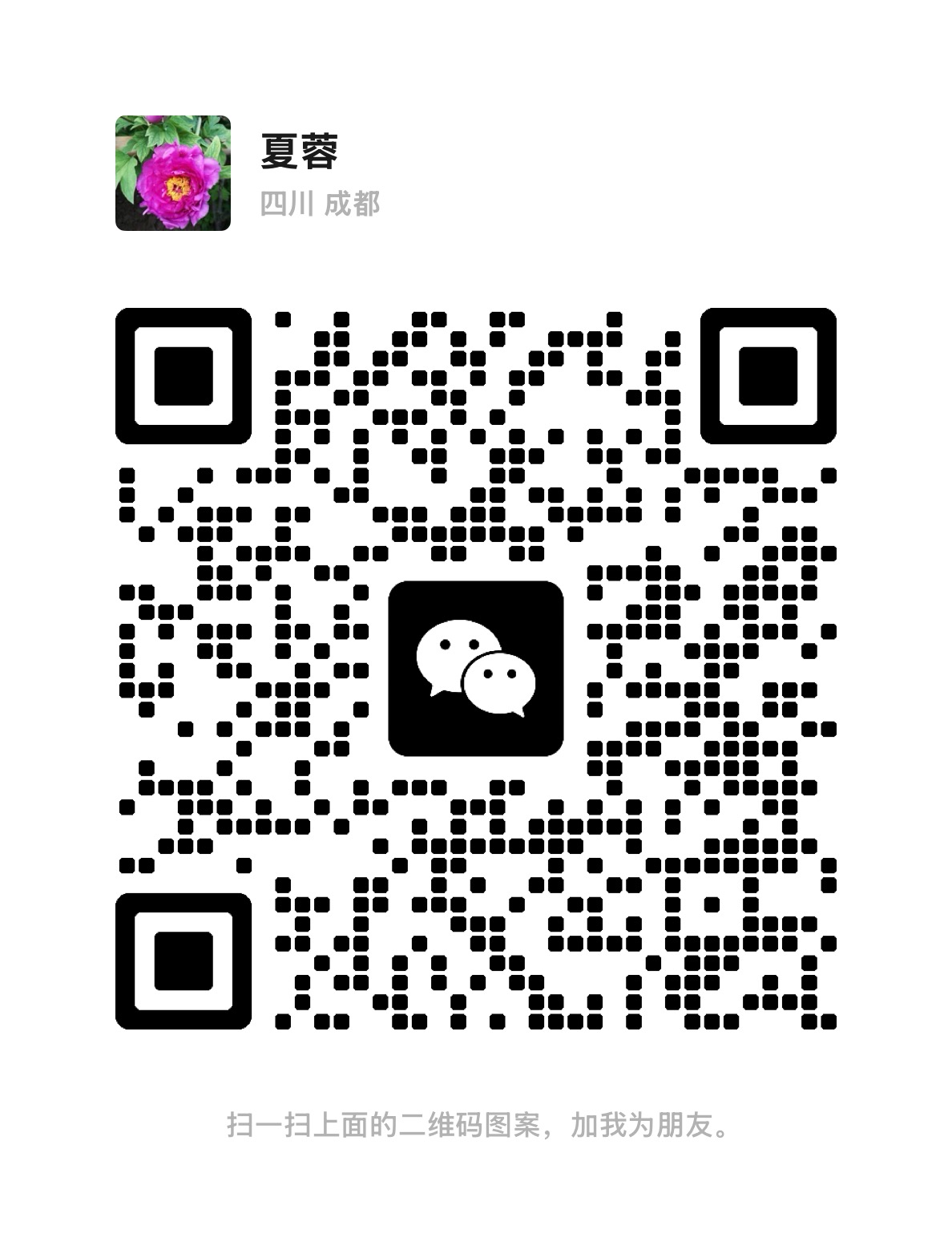 WeChat:15828494062